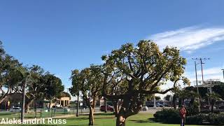 Красивые посадки самолетов в Лос-Анджелесе, США. Landing aircraft in Los-Angeles, USA.