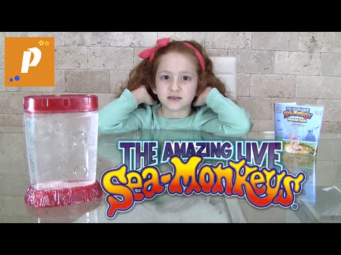 Распаковка необычной посылки с морскими обезьянами гомункул Unboxing sea monkeys морские обезьяны