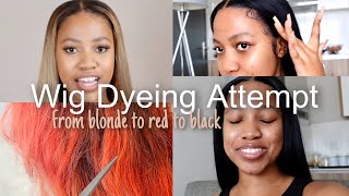 A Wig Dyeing Attempt (Complete FAIL) Vlog Style