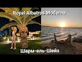 Шарм Ель Шейх. Royal Albatros Moderna. Скат біля готелю! Екскурсія на яхті та дайвінг!!