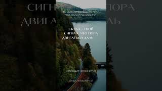 ТЫ МУЛЬТИПОТЕНЦИАЛ, ЕСЛИ ТЕБЕ СКУЧНО ЗАНИМАТЬСЯ ОДНИМ ДЕЛОМ