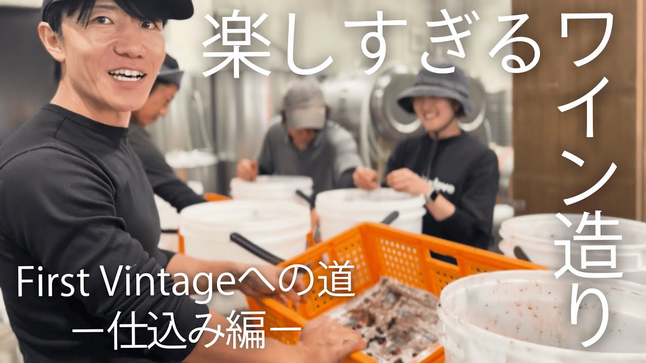 【First Vintageへの道】学びだらけの仕込み編