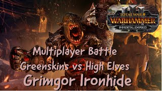 Total War: Warhammer 3 Multiplayer Battle Greenskins vs High Elves 1