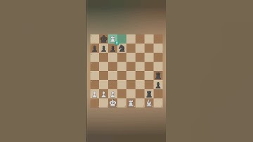 THE ROOKKKKK ‼️‼️‼️‼️‼️‼️ || #chess #chesstactics #chessgame #checkmate #chessgrandmaster