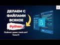Работа с файлами Python | Основные операции на котиках!