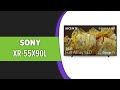 Телевизор Sony XR-55X90L