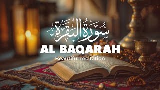 Surah Al-Baqarah Full | Powerful Quran Recitation to Bring Peace, Protection & Positive Energy