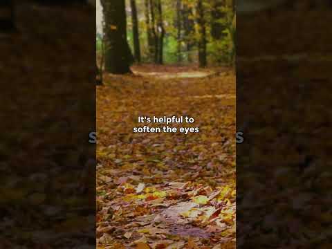 Guided Meditation: Vipassana