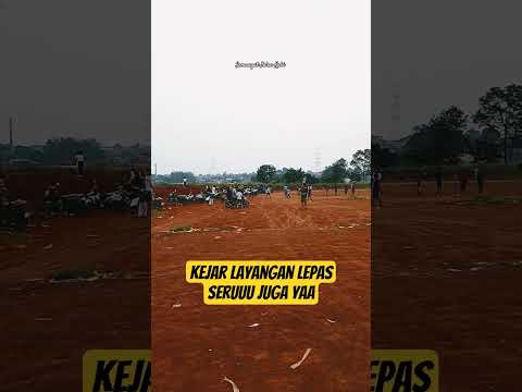 Seru! Kejar Layangan Lepas