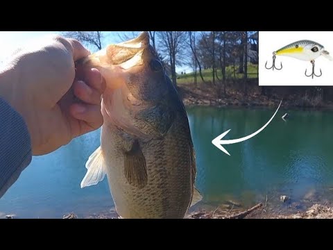 Pre spawn bass fishing at small pond.