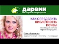 Ольга Воронова: как определить кислотность почвы с помощью листьев смородины