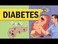 Diabetes Mellitus Basics: Types, NCLEX Tips & Care 🩺