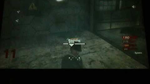 Nazi zombies multiple gun glitch der riese
