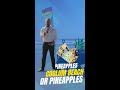 Pineapples or Pineapples - Coolum Beach - Guess The Logo - AX Compensation Lawyers