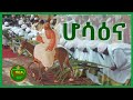 ሆሳዕና ለወልደ ዳዊት Hosanna Orthodox Mezmur እንኳን አደረሰን Tewahedo ሃይማኖቴ 2020