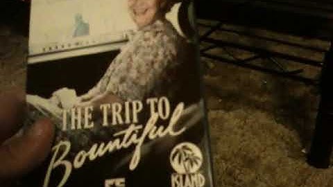 My VHS Collection Shirtless 2019 Edition Part 35 6/15/19