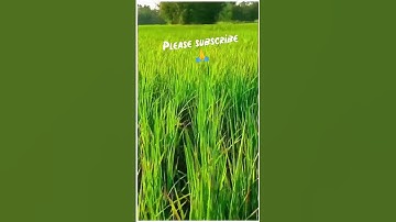 ||My first vlog my||first vlog viral|| प्लीज सपोर्ट कर दो भाईयों मैं youtube छोड़ रहा हूं😭😭🙏🙏||