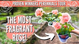 Nursery Tour! The EASIEST Perennials to Grow! by Set Apart Farm & Gardens Homestead 142 views 3 weeks ago 17 minutes