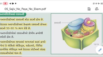 STD :9| SCIENCE | CHEP.:5:સજીવોનો પાયાનો એકમ| લેક્ચર:- 8