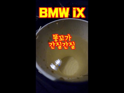 똥꼬가 간지러운 BMW iX #shorts