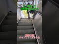 は？…今何を見たんだろ？？
