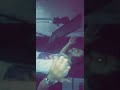     قريبا طلعتي كدابة