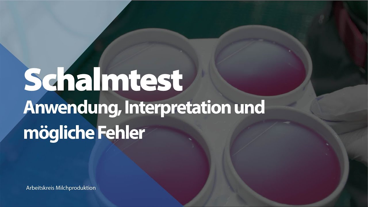 schalmtest-anwendung-interpretation-und-m-gliche-fehler-youtube