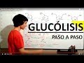 Glucólisis Paso a Paso - Desde Cero