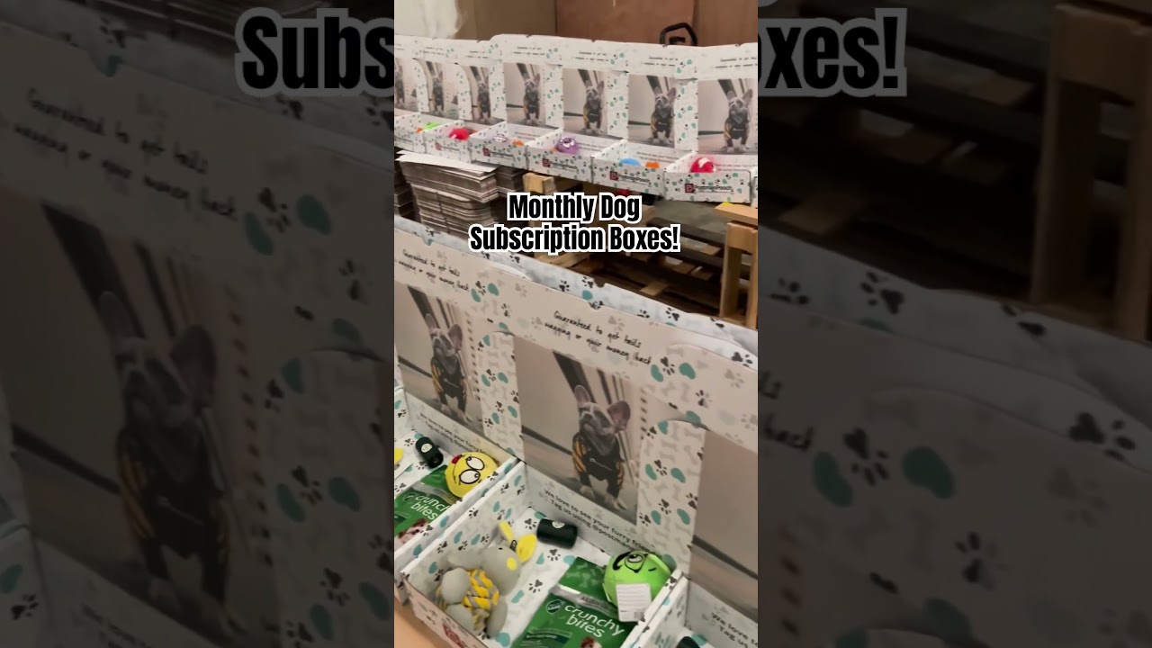 Monthly Subscription Boxes for Your Dog! 🐾 #shorts #subscription