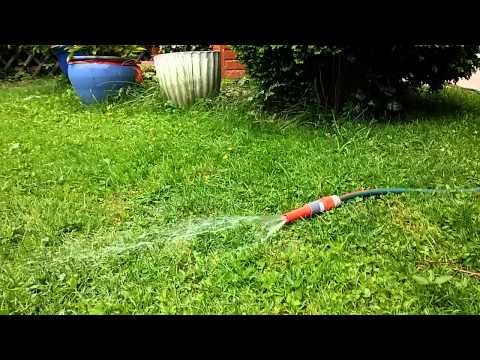 Chili is having fun with the garden hose / Der Gartenschlauch