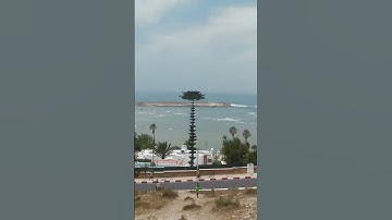 سورة الكافرون صوت جميل ماشاء الله
