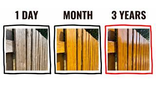 This 1 powder protects wood for 50 years The factories kept this secret