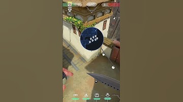 How to fake Presence On HAVEN