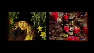 Download Lagu Spiroid - Mayflowers (Official Visualizer) MP3