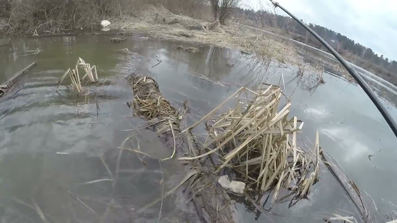 Рыбалка. Весной с мормышкой и боковым кивком по мутной воде.Где рыба?