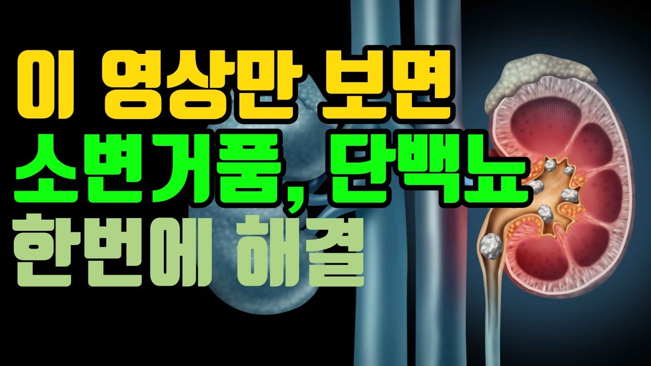 이 영상만 보면 소변거품 단백뇨 한번에 해결됩니다! 해 보세요 - YouTube