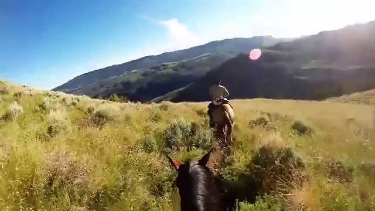 Flat Tops Wilderness Guides Deer Country YouTube Flat Tops Wilderness Guides Deer Country YouTube