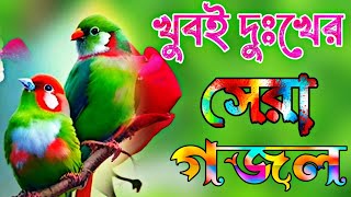 Bangla Gojol |নতুন গজল সেরা গজল | New Bangla Gazal, 2023Ghazal, Gojol, Islamic Gazal, Bangla গজল