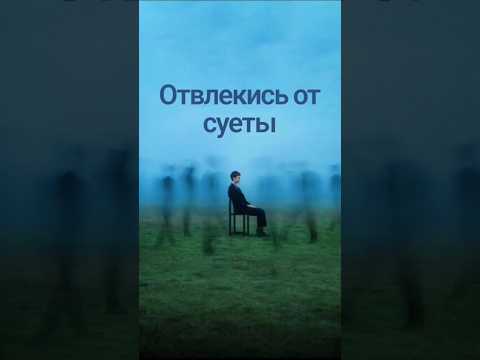 Отвлекись от суеты