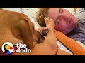 Dog Who Nipped Is The Best Boy For His Baby Sister | The Dodo