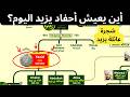 شجرة عائلة يزيد   الرجل الذي هز  الإسلام كله نجومي