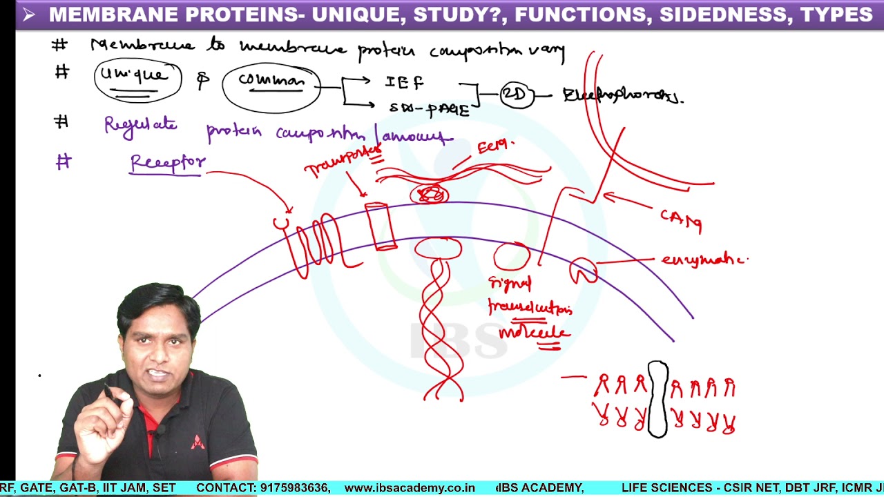 INTEGRAL MEMBRANE PROTEINS