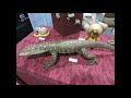 28TH NATIONAL BREEDERS REPTILE EXPO 2017