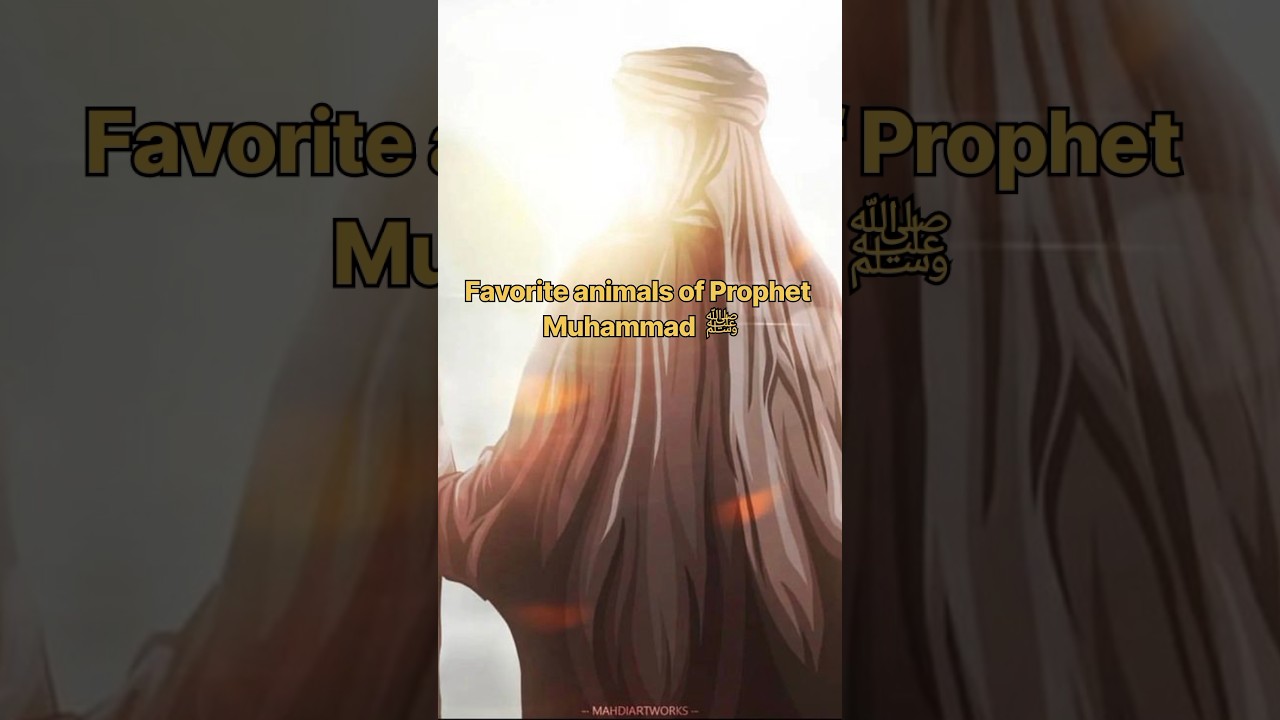 Favorite animals of Prophet Muhammad ﷺ 