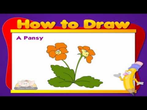 Learn to Draw Flower in Hindi - Pansy