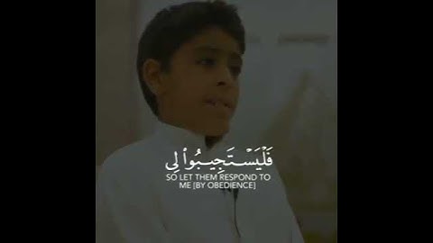 قرآن كريم بصوت جميل جدا ورائع القارئ انس شهاب