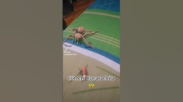 Thumbnail of La cucaracha la cucaracha ya no puede caminar....😆