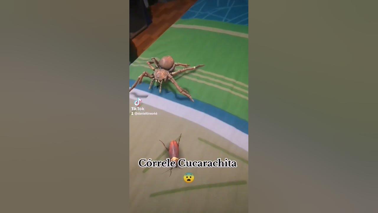 La cucaracha la cucaracha ya no puede caminar....😆