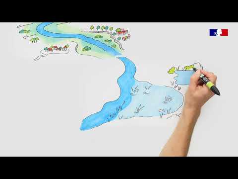 Extrait vidéo — Draw my life - Bigbang communication