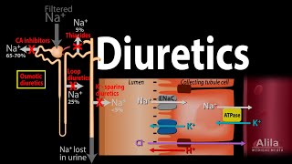 Diuretics  Mechanism of Action of Different Classes of Diuretics, Animation